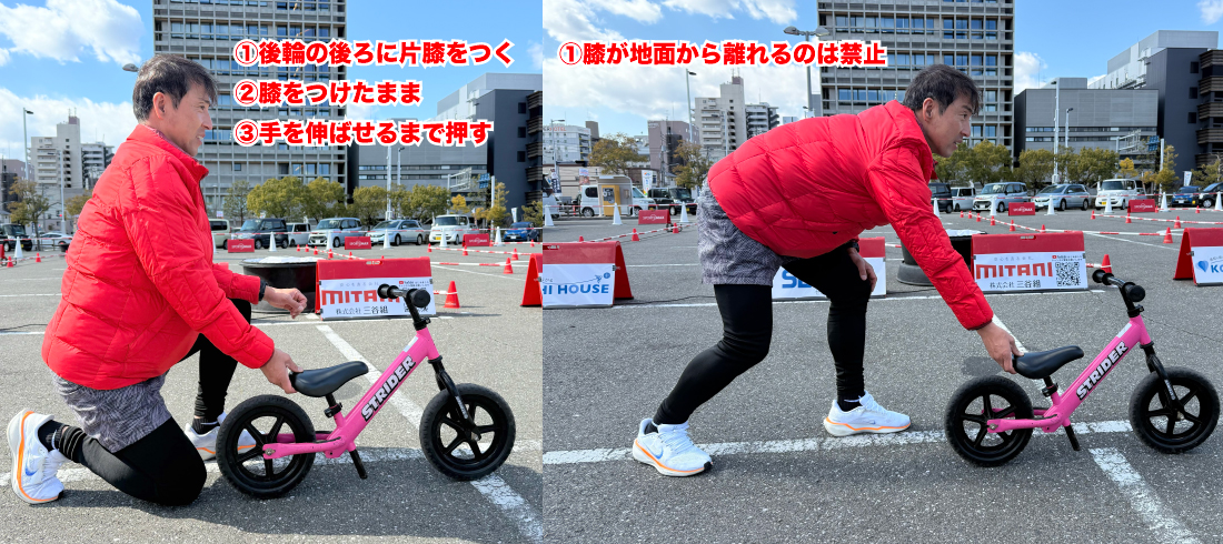 MAXライダー